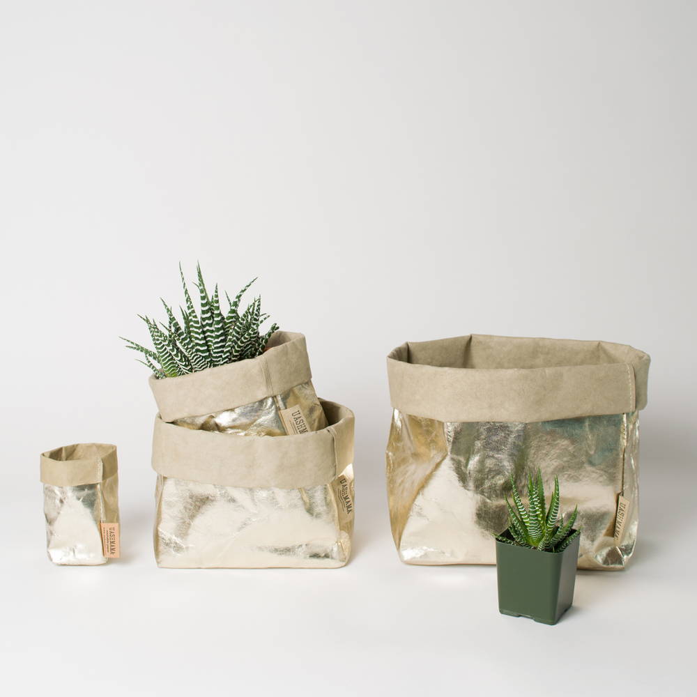 Top 10 Uses for Paper Bags