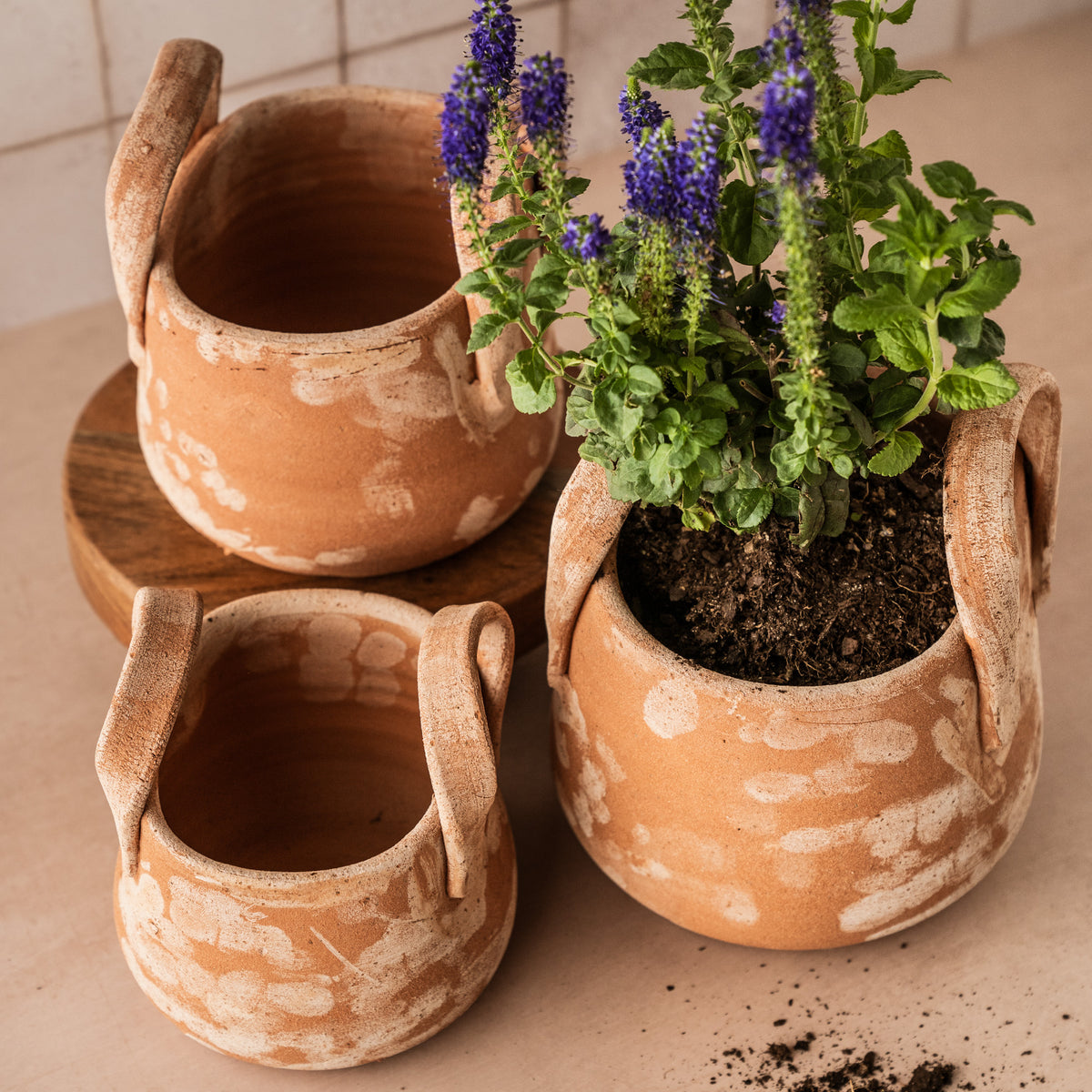 TUSCAN POT WITH HANDLES