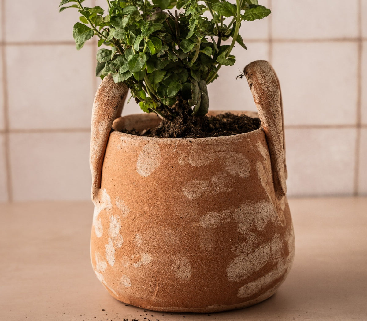 TUSCAN POT WITH HANDLES