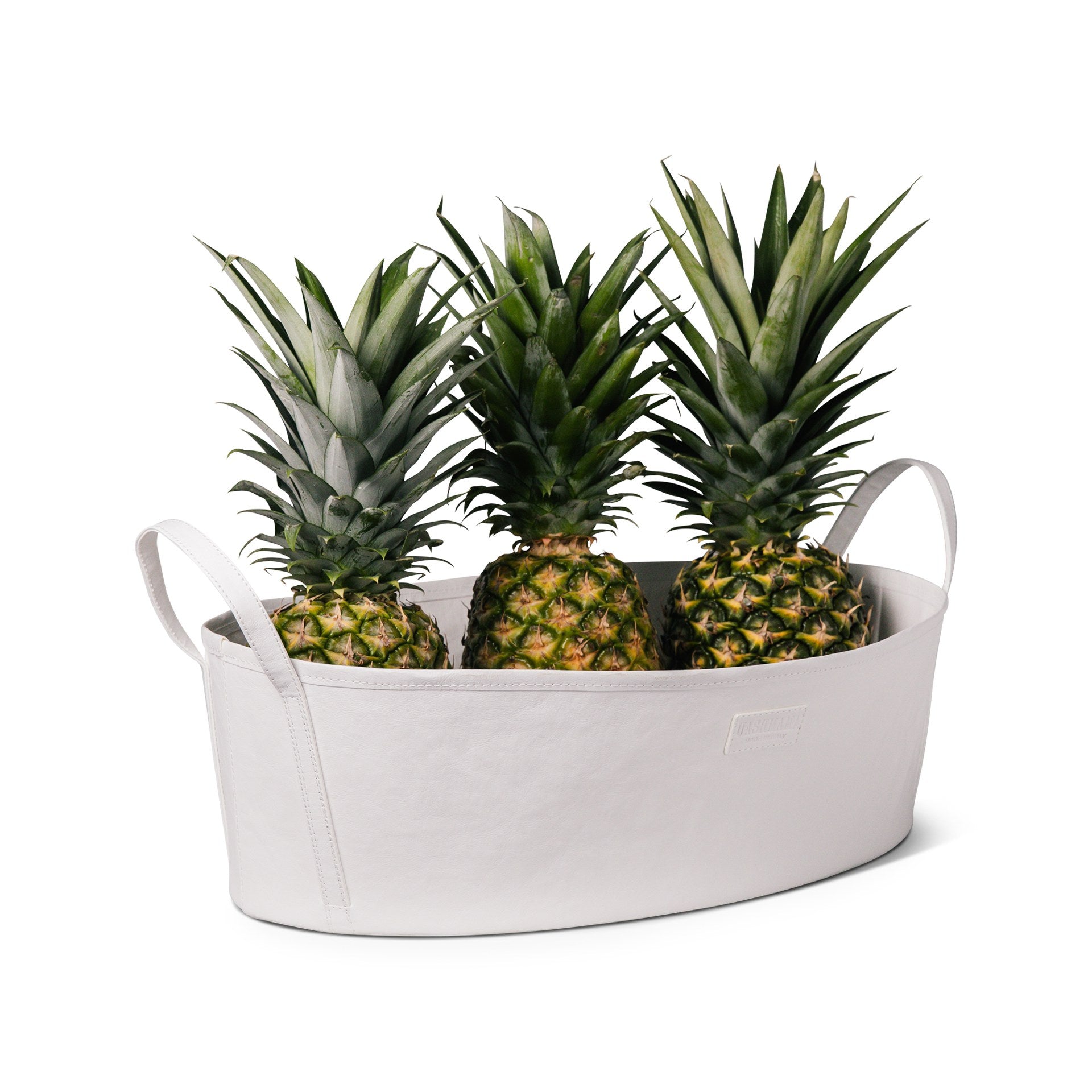 CATINO STORAGE TRAY