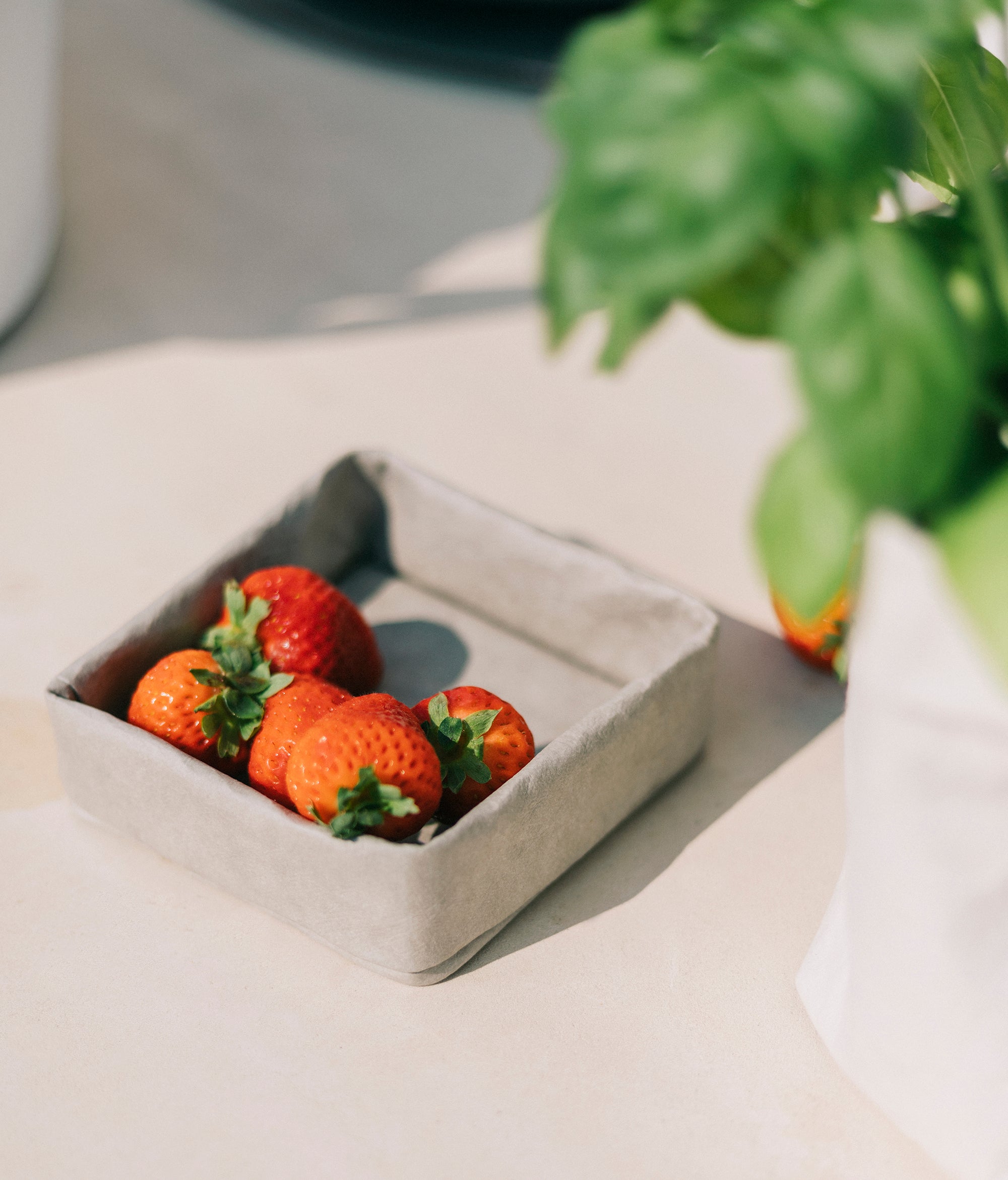LOLLIE BAG STORAGE TRAY