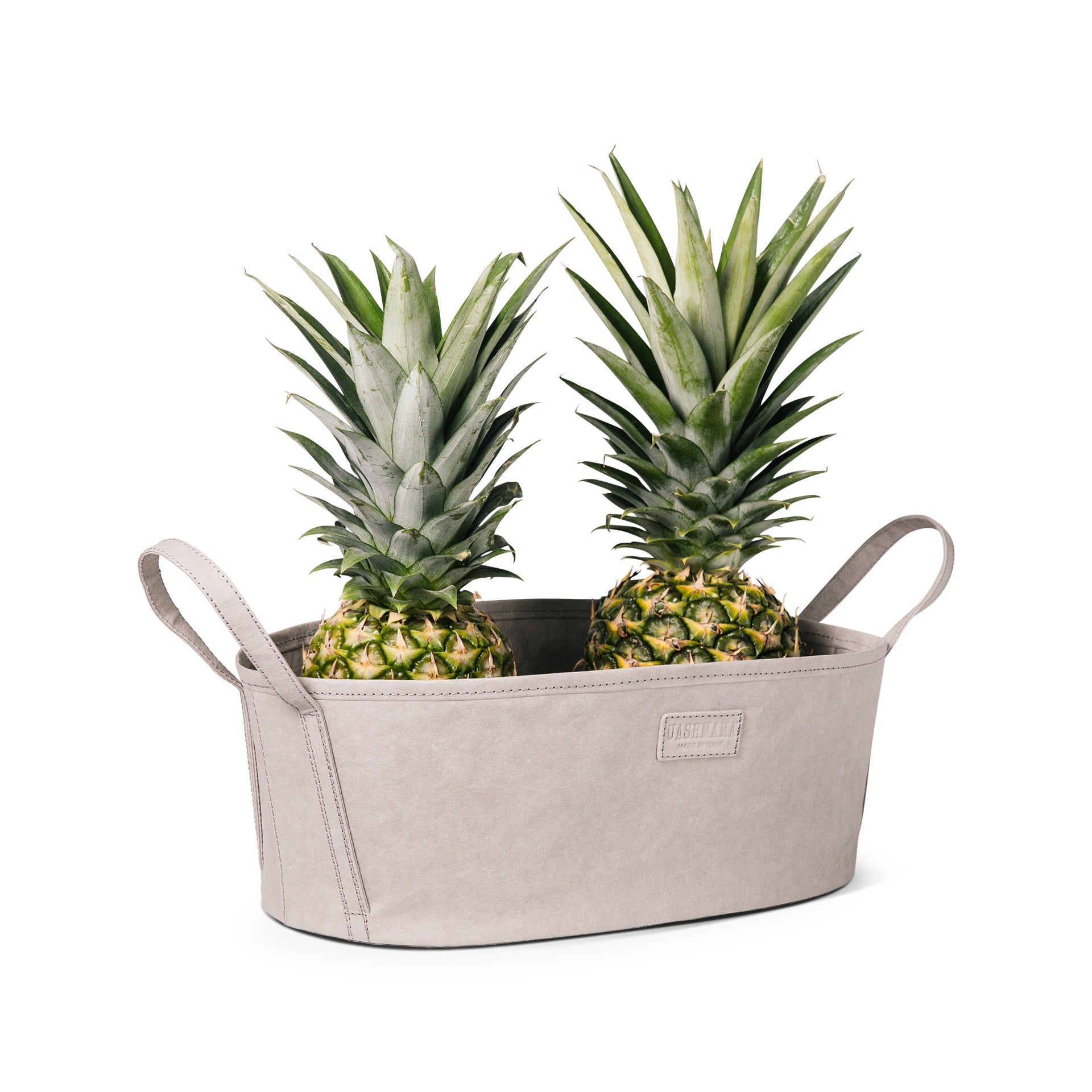 CATINO STORAGE TRAY