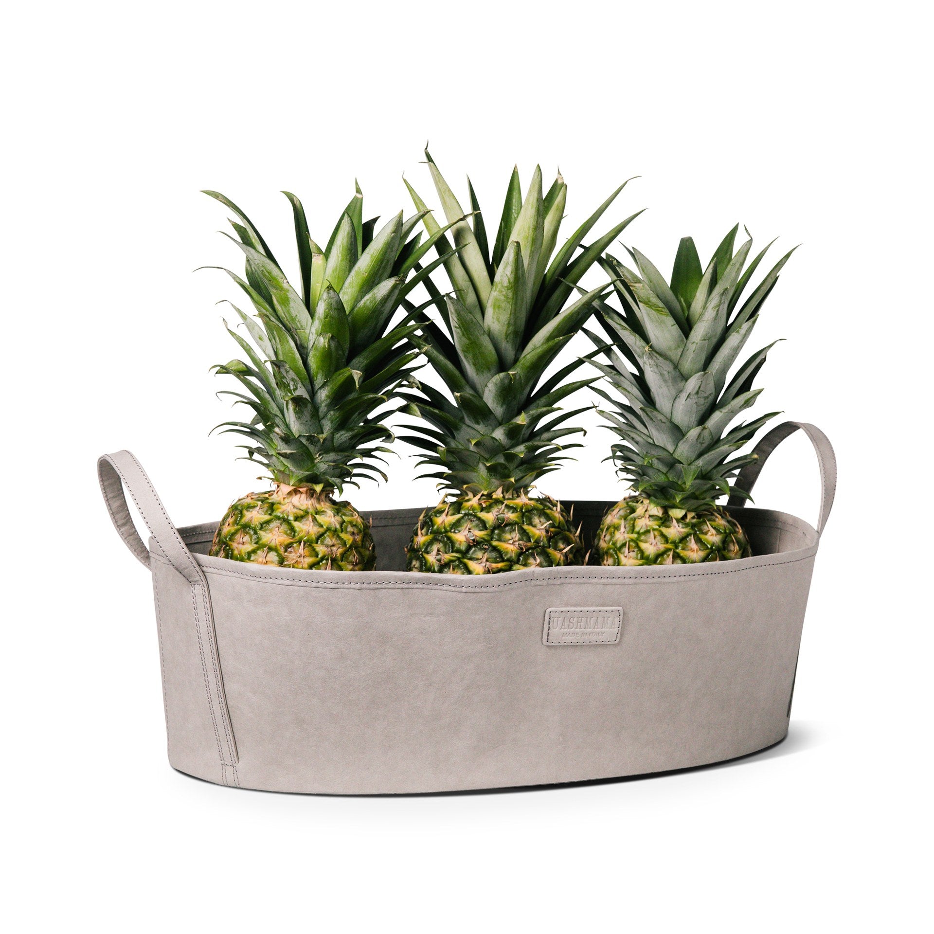 CATINO STORAGE TRAY