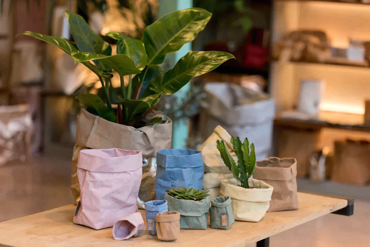 Rooted in Sustainability: Eco-Friendly Planter Options