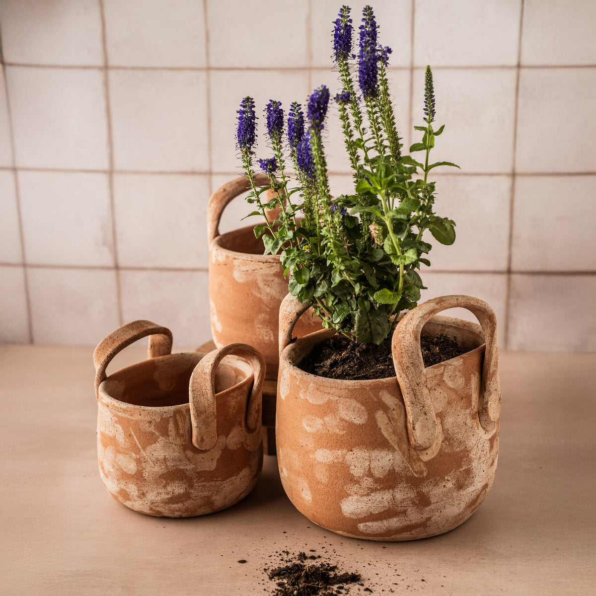TUSCAN POT WITH HANDLES