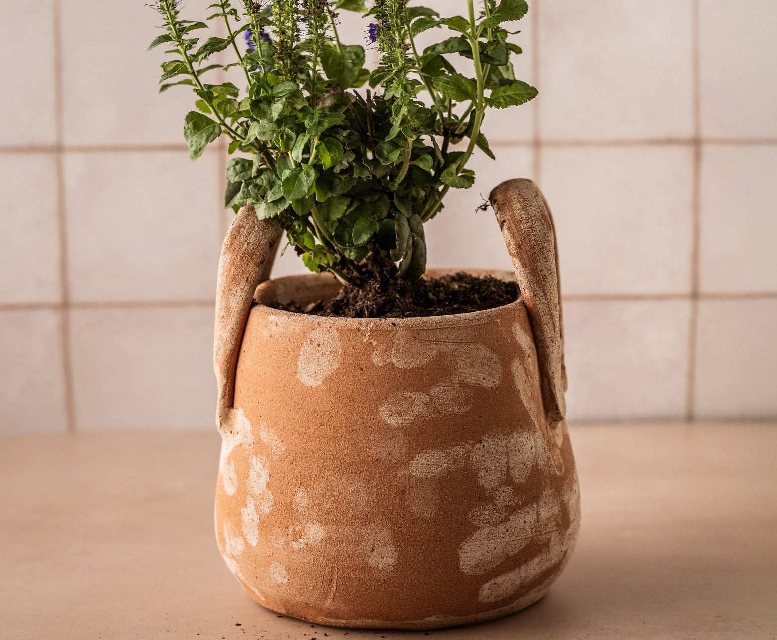 tuscan potted plants TUSCAN POT WITH HANDLES, Small